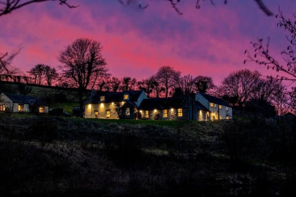 Buttercup Villa Saundersfoot Kültér fotó